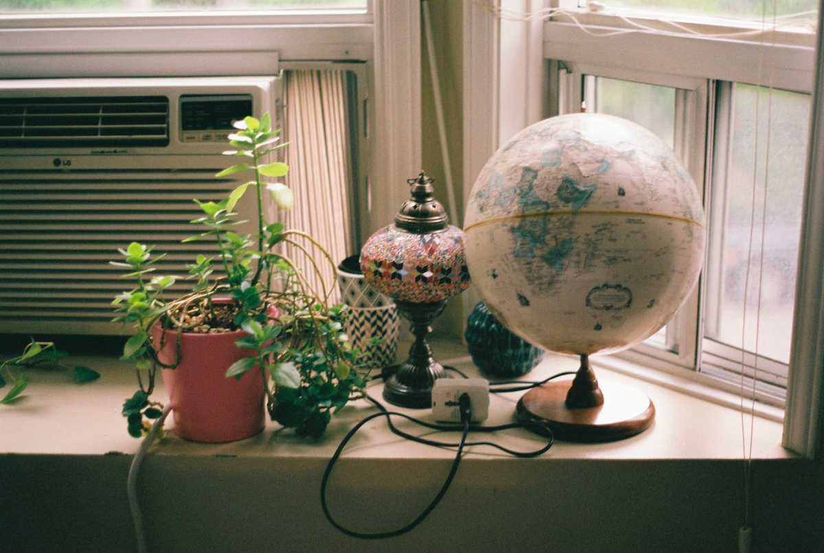 globe plant and lamp by the window